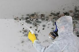 Best Residential Mold Inspection & Testing  in Maysville, KY